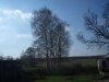 Grandma’s farm, Palegi
