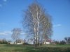 Grandma’s farm, Palegi